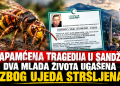 Nezapamćena tragedija u Sandžaku: Dva mlada života ugašena nakon ujeda insekata