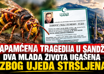 Nezapamćena tragedija u Sandžaku: Dva mlada života ugašena nakon ujeda insekata