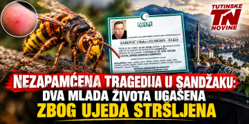 Nezapamćena tragedija u Sandžaku: Dva mlada života ugašena nakon ujeda insekata