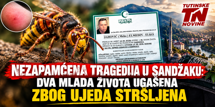 Nezapamćena tragedija u Sandžaku: Dva mlada života ugašena nakon ujeda insekata