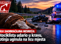 Teška saobraćajna nesreća: Motociklista udario u kravu, životinja uginula na licu mjesta