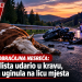 Teška saobraćajna nesreća: Motociklista udario u kravu, životinja uginula na licu mjesta